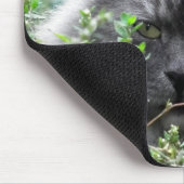 sibirisch | Katapportrait Mousepad (Ecke)