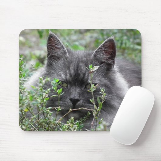 sibirisch | Katapportrait Mousepad (Mit Mouse)