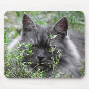 sibirisch   Katapportrait Mousepad