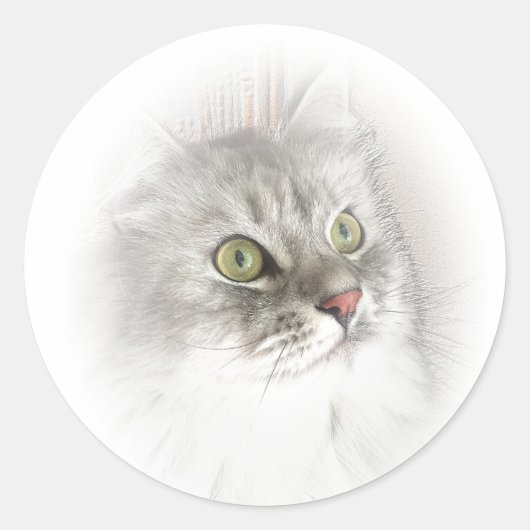 Sibirische Augen-Aufkleber Runder Aufkleber (Vorderseite)