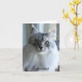 Sibirische Cat-Mitteilungskarten Karte (Gelbe Blume)