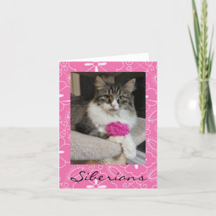 Sibirische Cat-Mitteilungskarten Karte