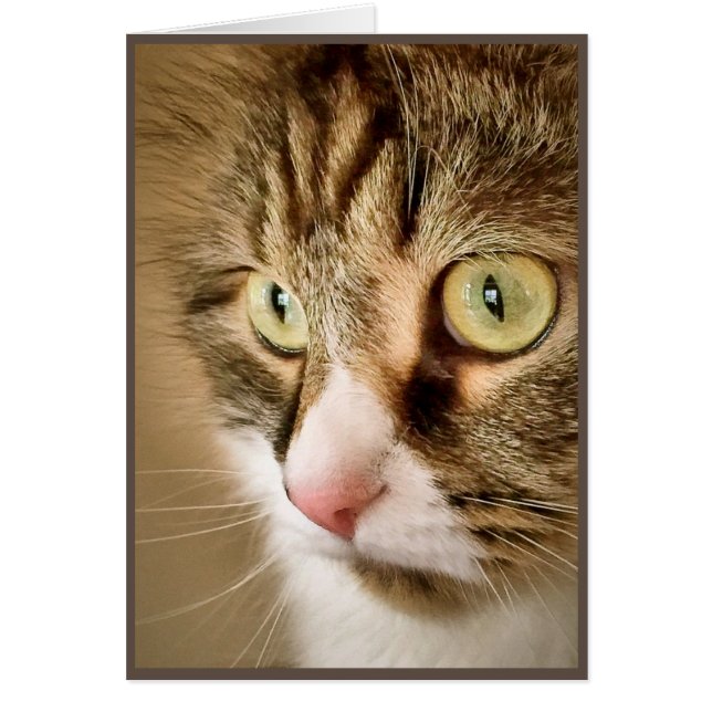 Sibirische Gedanken (leere Karte) (Vorne)