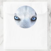 Sibirische Huselblauen Augen Runder Aufkleber (Tasche)
