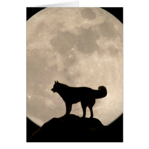 Sibirische Husky Card Malamute Wolf Hundkarte