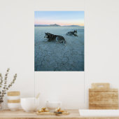 Sibirische Husky-Hunde, globale Erwärmung Poster (Küche)