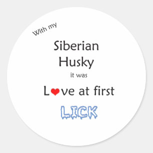 Sibirische Husky-Liebe bei First Lick - Aufkleber