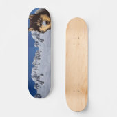 Sibirische Husky-Skateboard Skateboard (Vorderseite)