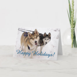 Sibirische Husky-Urlaubskarte Feiertagskarte