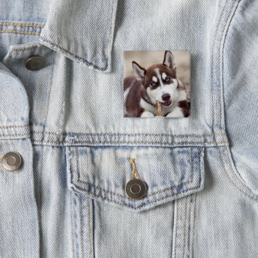 Sibirische Husky-Welpe am Strand Button (Beispiel)