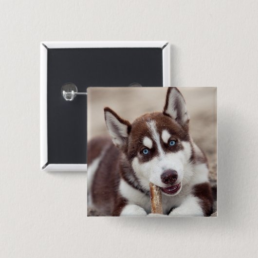 Sibirische Husky-Welpe am Strand Button (Vorne & Hinten)