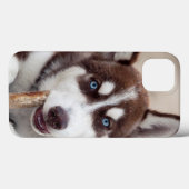 Sibirische Husky-Welpe am Strand Case-Mate iPhone Hülle (Rückseite (Horizontal))