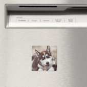 Sibirische Husky-Welpe am Strand Magnet (In Situ (Geschirrspüler))