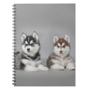 Sibirische Husky-Welpen Notizblock