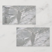 Sibirische Ibex Visitenkarte (Vorne/Hinten)