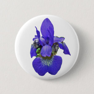 sibirische Iris-Koordinationselemente Button
