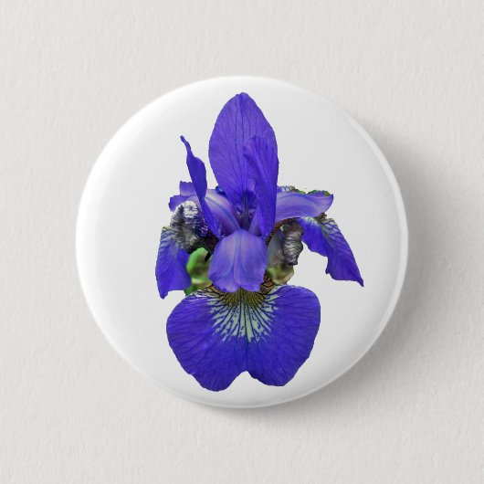 sibirische Iris-Koordinationselemente Button (Vorderseite)