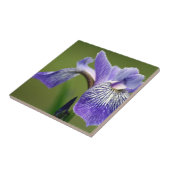 Sibirische Iris Trivet Fliese (Seite)