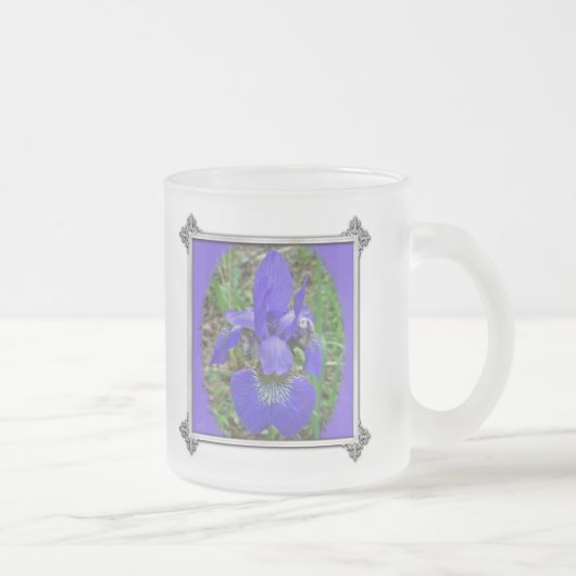 Sibirische Iris-Wildblume - Iris sibirica Mattglastasse (Rechts)