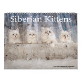 Sibirische Kätzchen-Kalender Kalender (Titelbild)