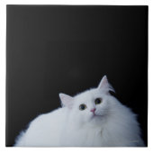 Sibirische Katze Fliese (Vorderseite)