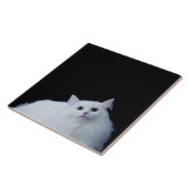 Sibirische Katze Fliese (Seite)