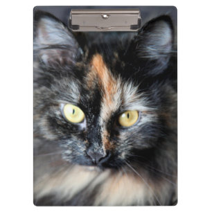 Sibirische Katze Klemmbrett