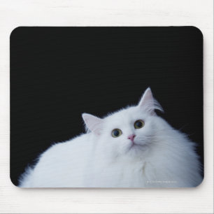 Sibirische Katze Mousepad