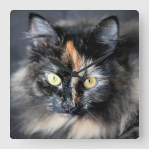 Sibirische Katze Quadratische Wanduhr