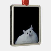 Sibirische Katze Silbernes Ornament (Rechts)