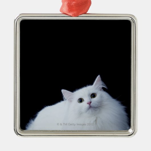 Sibirische Katze Silbernes Ornament (Vorne)