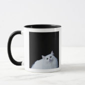 Sibirische Katze Tasse (Links)