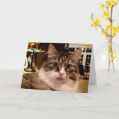 Sibirische Katzen-Anmerkungs-Karte Karte (Gelbe Blume)