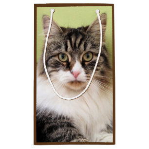 Sibirische Katzen-Geschenk-Tasche Kleine Geschenktüte