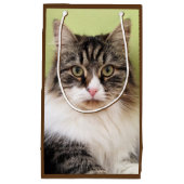 Sibirische Katzen-Geschenk-Tasche Kleine Geschenktüte (Vorderseite)