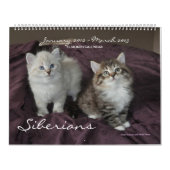 Sibirische Katzen - Kätzchen 2012 - Kalender 2013 (Titelbild)