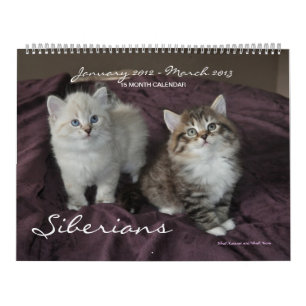 Sibirische Katzen Kittens Jan2012 - März 2013 Kal Kalender