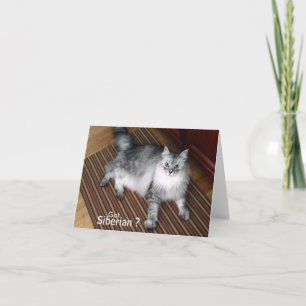 Sibirische Katzen-Raum-Anmerkungs-Karte Karte