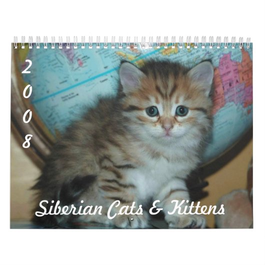 Sibirische KATZEN u. KÄTZCHEN CAL2008 Kalender (Titelbild)