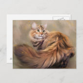 Sibirische Katzenporträt Postkarte (Vorne/Hinten)