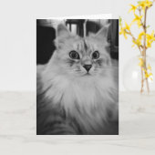 Sibirische magische Mitteilungskarten (Gelbe Blume)