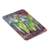 Sibirische Squill-Blue-Spring-Blume Magnet (Rechte Seite)