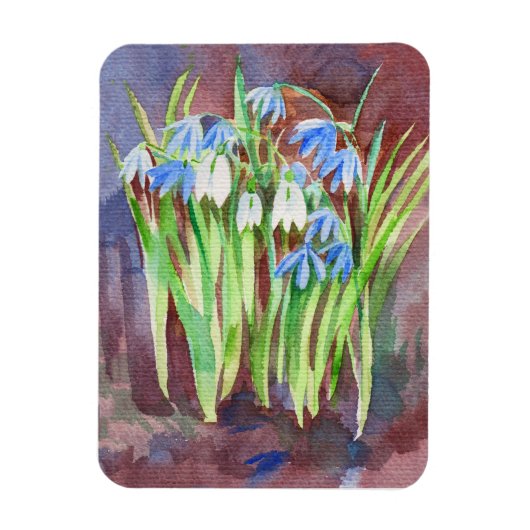 Sibirische Squill-Blue-Spring-Blume Magnet (Vertikal)
