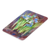 Sibirische Squill-Blue-Spring-Blume Magnet (Linke Seite)