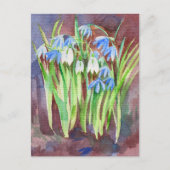 Sibirische Squill-Blue-Spring-Blume Postkarte (Vorderseite)