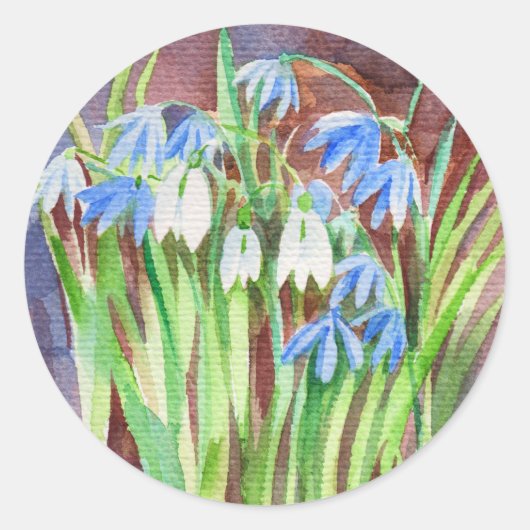 Sibirische Squill-Blue-Spring-Blume Runder Aufkleber (Vorderseite)