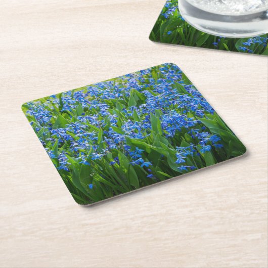 Sibirische Squill Rechteckiger Pappuntersetzer (angewinkelt)