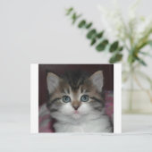 Sibirische Tabby/White Kitten Postkarte (Stehend Vorderseite)