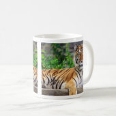 Sibirische Tiger-Tasse Kaffeetasse (VorderseiteRechts)