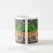 Sibirische Tiger-Tasse Kaffeetasse (Mittel)